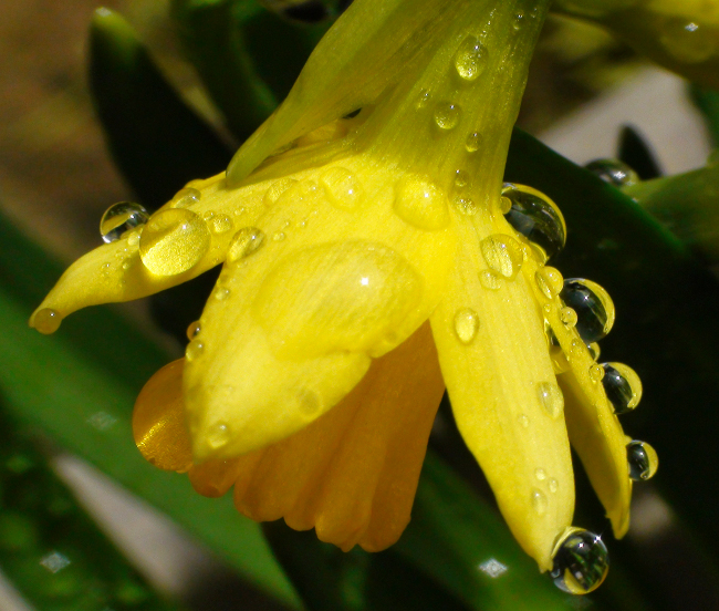 a light shower